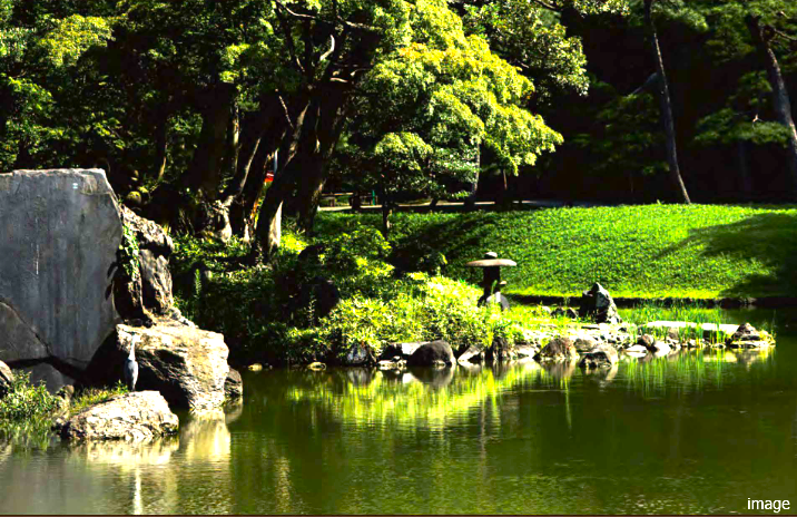 小石川後楽園｜ザ・パークハウス本郷